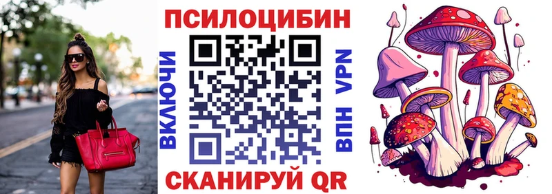 Галлюциногенные грибы Psilocybine cubensis  Новоалтайск 