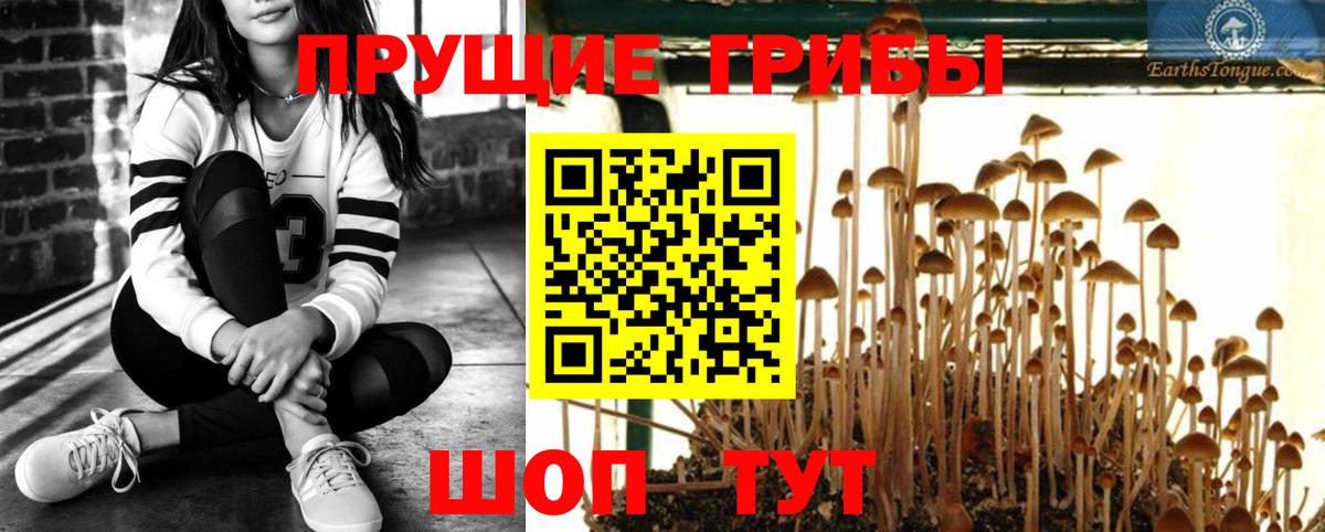 Галлюциногенные грибы мухоморы  Вход с VPN  Новоалтайск 