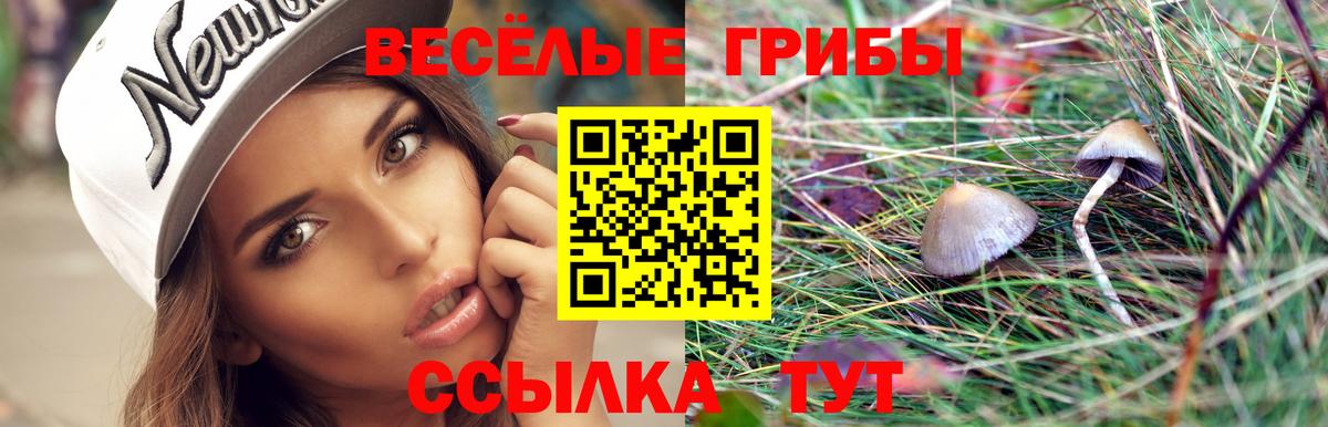 МАРИХУАНА  Экстази  Новоалтайск  COCAIN  Alpha-PVP СК   ГАШ  ТГК  МАРИХУАНА  Вход с VPN  Мефедрон  